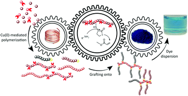 Graphical abstract: Thiolactone chemistry and copper-mediated CRP for the development of well-defined amphiphilic dispersing agents