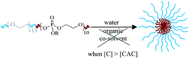 Graphical abstract: Synthesis and tensioactive properties of PEO-b-polyphosphate copolymers