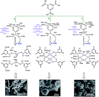 Graphical abstract: Solvent determines the formation and properties of metal–organic frameworks