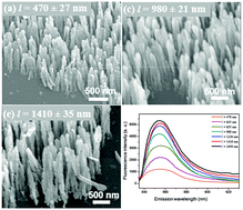 Graphical abstract: Morphology dependent surface enhanced fluorescence study on silver nanorod arrays fabricated by glancing angle deposition