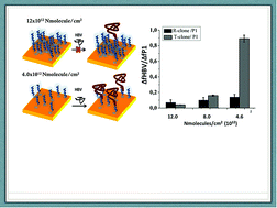 Graphical abstract: Single-step label-free hepatitis B virus detection by a piezoelectric biosensor