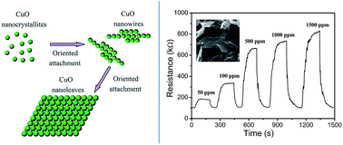 Graphical abstract: Synthesis of high-purity CuO nanoleaves and analysis of their ethanol gas sensing properties