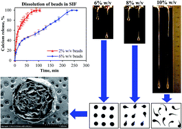 Graphical abstract: Production of ultra-high concentration calcium alginate beads with prolonged dissolution profile