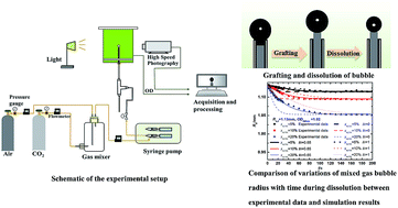 Graphical abstract: Experimental and theoretical study on dissolution of a single mixed gas bubble in a microalgae suspension
