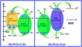 Graphical abstract: Enhanced visible-light-driven photocatalytic performances using Bi2WO6/MS (M = Cd, Zn) heterostructures: facile synthesis and photocatalytic mechanisms