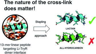 Graphical abstract: Comparison of hydrocarbon-and lactam-bridged cyclic peptides as dimerization inhibitors of Leishmania infantum trypanothione reductase
