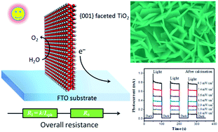 Graphical abstract: Photoelectrochemical manifestation of intrinsic photoelectron transport properties of vertically aligned {001} faceted single crystal TiO2 nanosheet films