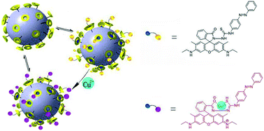 Graphical abstract: A novel magnetic fluorescent chemosensor for Cu2+ based on self-assembled systems of azobenzene and α-cyclodextrin