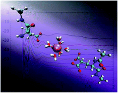 Graphical abstract: Improving the description of interactions between Ca2+ and protein carboxylate groups, including γ-carboxyglutamic acid: revised CHARMM22* parameters