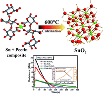 Graphical abstract: Bio-green synthesis of Ni-doped tin oxide nanoparticles and its influence on gas sensing properties