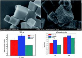 Graphical abstract: Enhanced biological performance on nano-microstructured surfaces assembled by SrTiO3 cubic nanocrystals