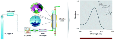 Graphical abstract: Production of a natural red pigment derived from Opuntia spp. using a novel high pressure CO2 assisted-process