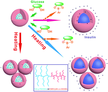 Graphical abstract: Thermo- and glucose-responsive micelles self-assembled from phenylborate ester-containing brush block copolymer for controlled release of insulin at physiological pH
