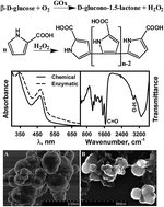 Graphical abstract: Evaluation of poly(pyrrole-2-carboxylic acid) particles synthesized by enzymatic catalysis