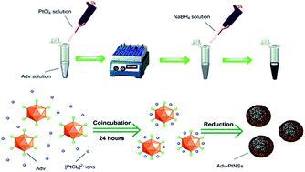 Graphical abstract: Self-assembly of adenovirus-templated platinum nanoshells and evaluation of their biocompatibilities