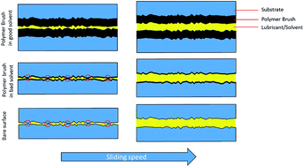 Graphical abstract: Challenges and developments of self-assembled monolayers and polymer brushes as a green lubrication solution for tribological applications
