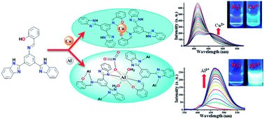 Graphical abstract: Detection of copper(ii) and aluminium(iii) by a new bis-benzimidazole Schiff base in aqueous media via distinct routes