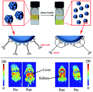 Graphical abstract: Phase transfer preparation of ultrasmall MnS nanocrystals with a high performance MRI contrast agent