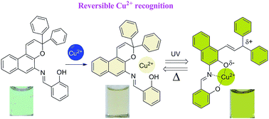 Graphical abstract: Synthesis of an optically switchable salicylaldimine substituted naphthopyran for selective and reversible Cu2+ recognition in aqueous solution