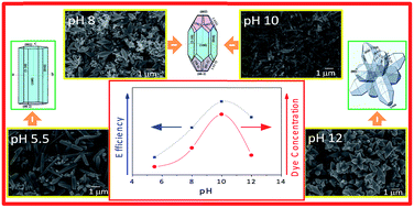 Graphical abstract: Influence of morphology on the performance of ZnO-based dye-sensitized solar cells
