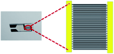 Graphical abstract: Aptasensors modified by antimony tin oxide nanoparticle-chitosan based on interdigitated array microelectrodes for tetracycline detection