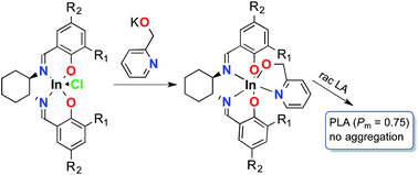 Graphical abstract: Overcoming aggregation in indium salen catalysts for isoselective lactide polymerization