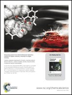 Graphical abstract: Back cover