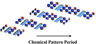 Graphical abstract: Directed self-assembly of cylinder-forming diblock copolymers on sparse chemical patterns