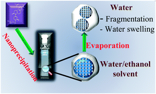Graphical abstract: The role of solvent swelling in the self-assembly of squalene based nanomedicines