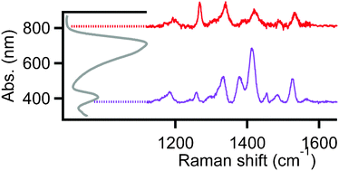 Graphical abstract: Resonance Raman spectroscopy and imaging of push–pull conjugated polymer–fullerene blends