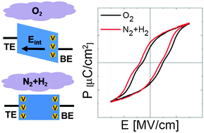 Graphical abstract: Study on the internal field and conduction mechanism of atomic layer deposited ferroelectric Hf0.5Zr0.5O2 thin films