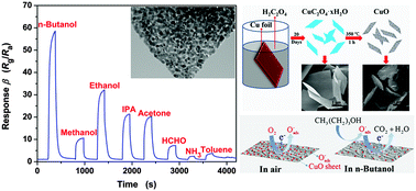 Graphical abstract: Facile synthesis of CuO micro-sheets over Cu foil in oxalic acid solution and their sensing properties towards n-butanol