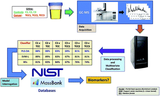 Graphical abstract: Evaluation of gas chromatography mass spectrometry and pattern recognition for the identification of bladder cancer from urine headspace