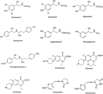 Graphical abstract: Development of a sensitive monoclonal antibody-based ELISA for the determination of a β-adrenergic agonist brombuterol in swine meat, liver and feed samples