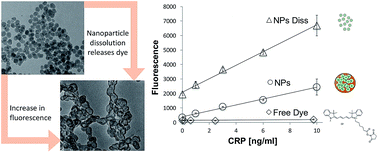 Graphical abstract: Highly sensitive detection of C-reactive protein using a novel dissolution approach in a dye-doped silica nanoparticle-based fluorescence immunoassay