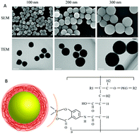 Graphical abstract: Uniform TiO2 nanoparticles induce apoptosis in epithelial cell lines in a size-dependent manner