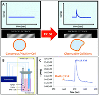 Graphical abstract: Electrochemical detection of single cancer and healthy cell collisions on a microelectrode