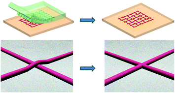 Graphical abstract: A facile approach for the fabrication of 2D supermicelle networks