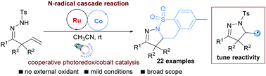 Graphical abstract: A visible-light photocatalytic N-radical cascade of hydrazones for the synthesis of dihydropyrazole-fused benzosultams
