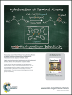 Graphical abstract: Back cover