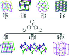 Graphical abstract: Seven entangled coordination polymers assembled from triphenylamine-based bisimidazole and dicarboxylates: interpenetration, self-penetration and mixed entanglement