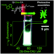 Graphical abstract: Photoactive bile salts with critical micellar concentration in the micromolar range