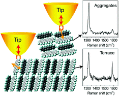 Graphical abstract: Revealing nanoscale optical properties and morphology in perfluoropentacene films by confocal and tip-enhanced near-field optical microscopy and spectroscopy