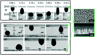 Graphical abstract: Magnetic field actuated manipulation and transfer of oil droplets on a stable underwater superoleophobic surface