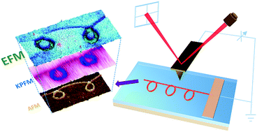 Graphical abstract: Strain-induced electrostatic enhancements of BiFeO3 nanowire loops