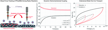 Graphical abstract: Dynamic mechanoelectrochemistry of polypyrrole membranes via shear-force tracking