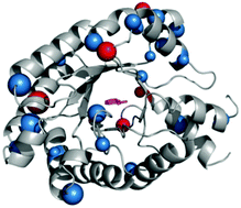 Graphical abstract: The role of side chain entropy and mutual information for improving the de novo design of Kemp eliminases KE07 and KE70