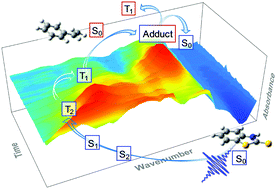 Graphical abstract: Triplet state formation and quenching dynamics of 2-mercaptobenzothiazole in solution