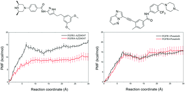Graphical abstract: Theoretical studies on FGFR isoform selectivity of FGFR1/FGFR4 inhibitors by molecular dynamics simulations and free energy calculations