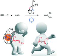 Graphical abstract: Mechanistic insight into the pyridine enhanced α-selectivity in alkyne hydrothiolation catalysed by quinolinolate–rhodium(i)–N-heterocyclic carbene complexes